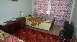 Гостиница Куделька Асбест Двухместный номер эконом-класса с 2 отдельными кроватями-5